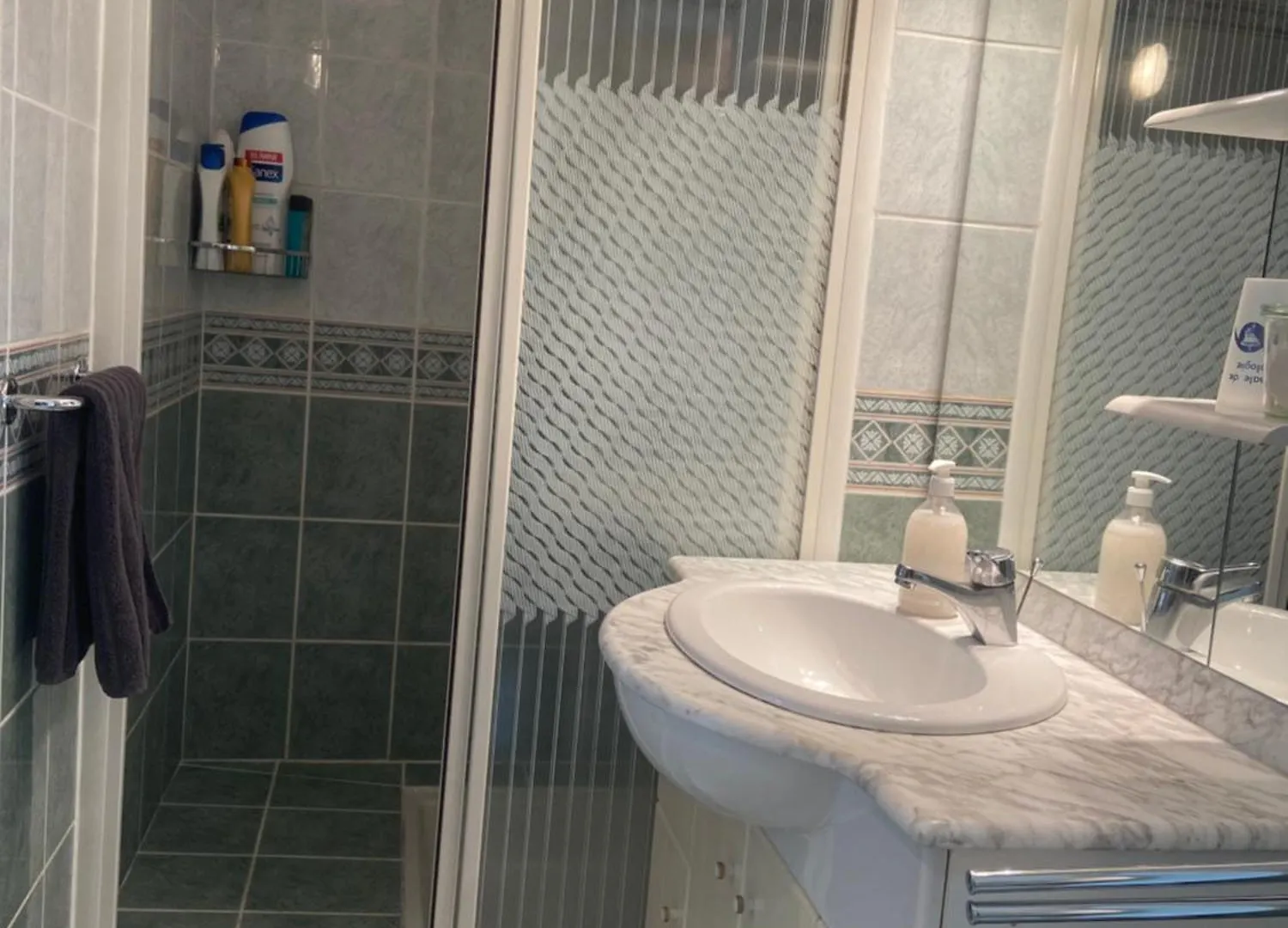 Sweet Home - 55M2 Appartment, Garden, Swimming Pool, Parking Toulouse France