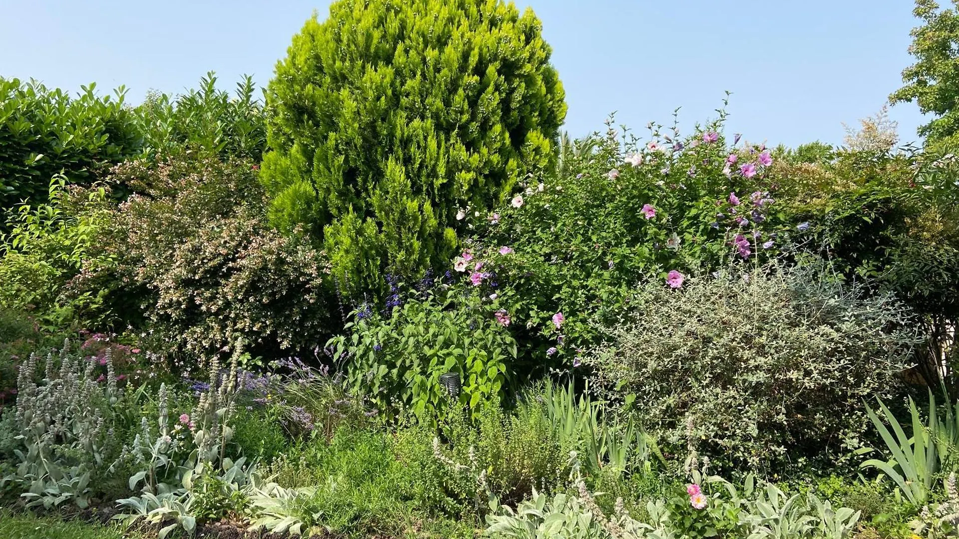 Pensionat Sweet Home - 55M2 Appartment, Garden, Swimming Pool, Parking Toulouse